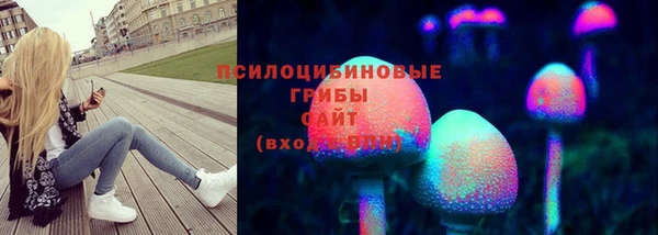 мет Няндома
