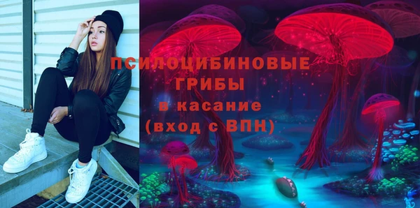 дурь Абдулино