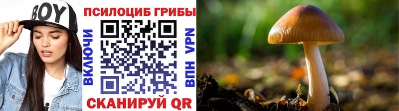 KRAKEN зеркало  где купить наркоту  Сатка  Галлюциногенные грибы GOLDEN TEACHER 